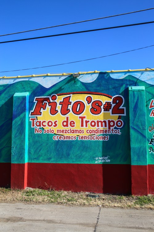 Fito's #2 Tacos de Trompo, photo by Catherine Downes