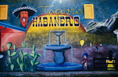 Taqueria Habanero mural, photo by Catherine Downes
